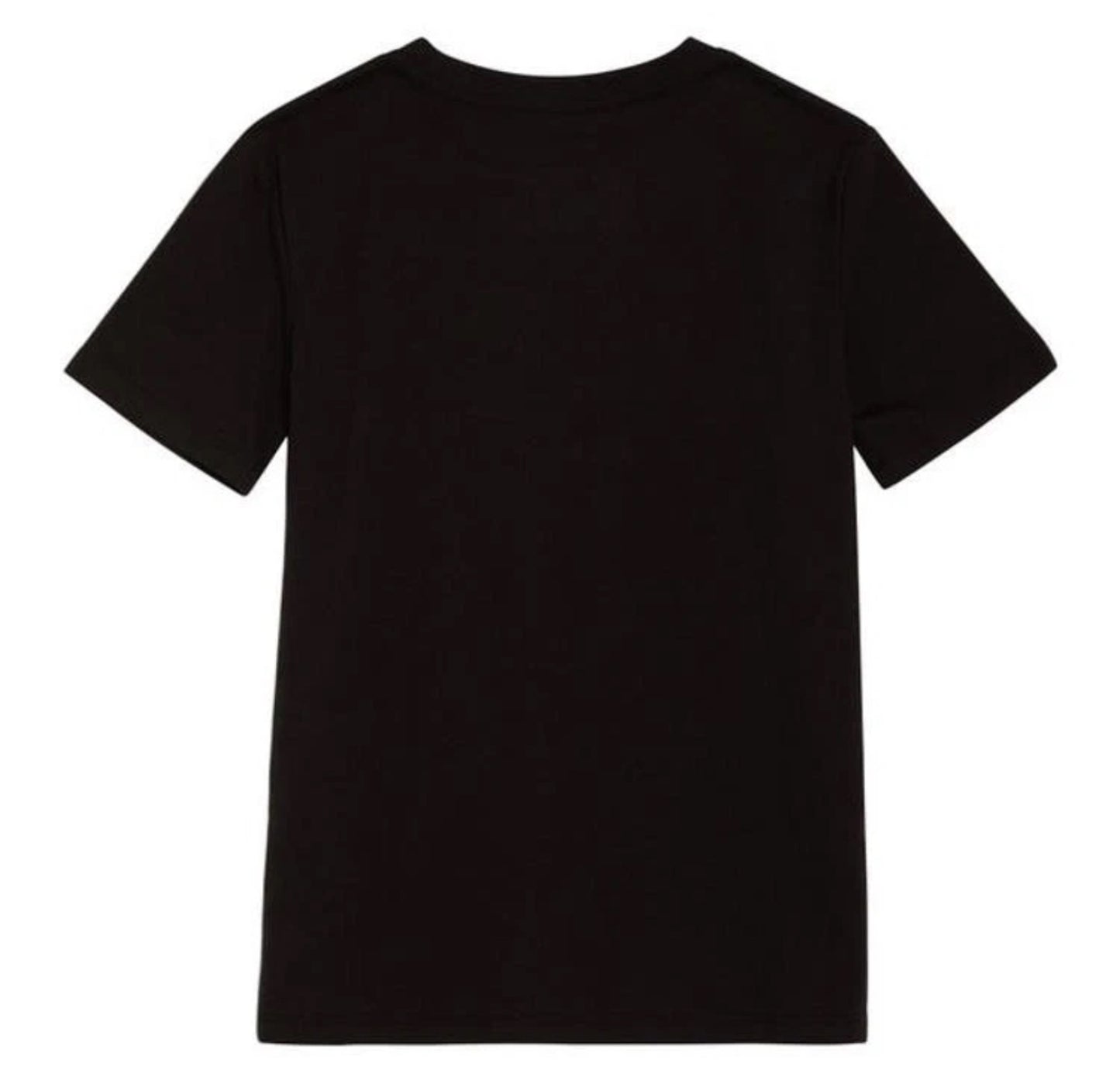 Champion Grey/Black 2-Pack Tee by Underdog Liquidation