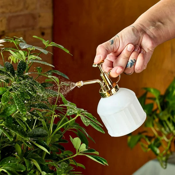 Modern Sprout Gardening Shears and Glass Plant Mister Set by Underdog Liquidation