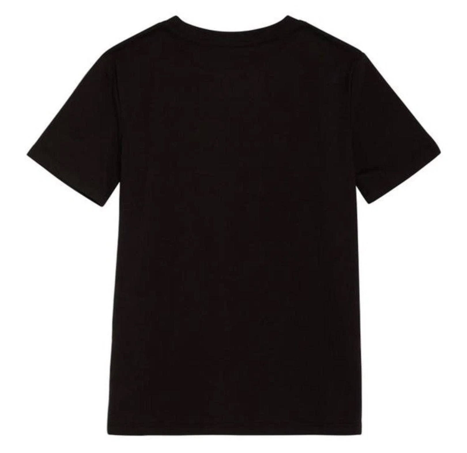 Champion Grey/Black 2-Pack Tee by Underdog Liquidation