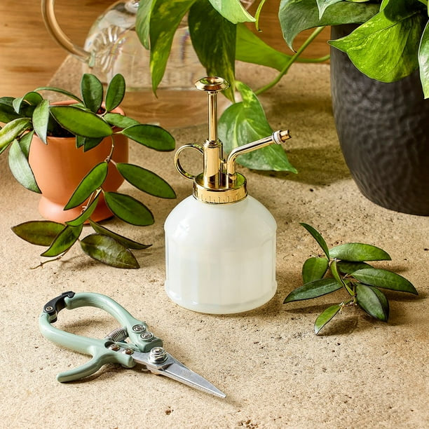 Modern Sprout Gardening Shears and Glass Plant Mister Set by Underdog Liquidation
