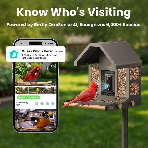 Birdfy Smart Metal Bird Feeder with Built-in Solar Panel and AI Camera