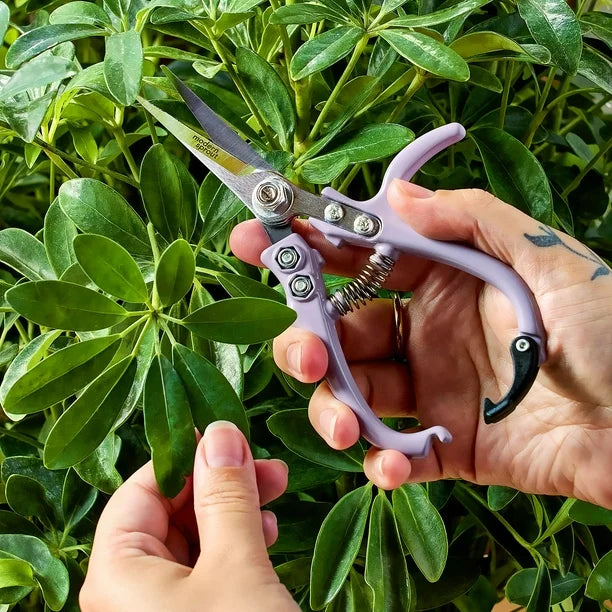Modern Sprout Gardening Shears and Glass Plant Mister Set by Underdog Liquidation