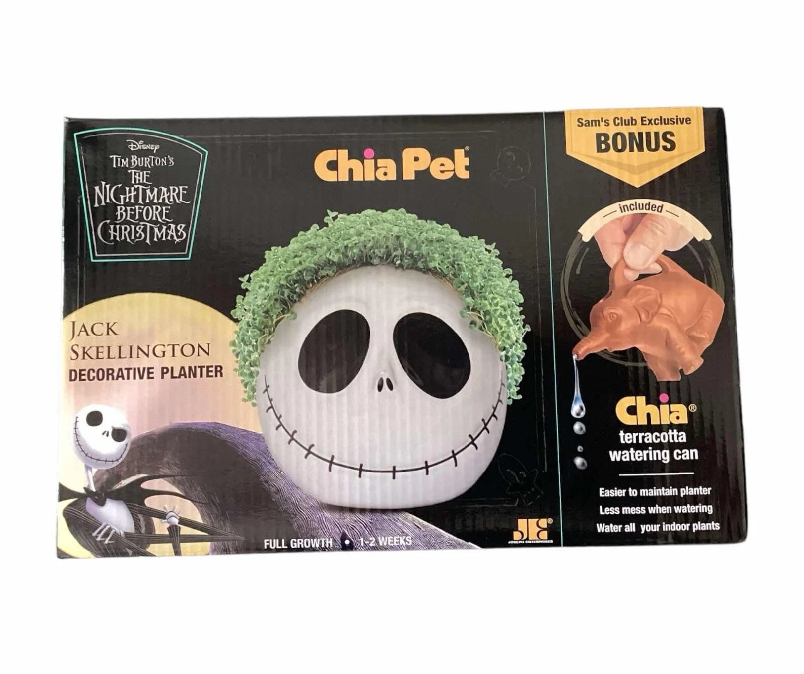Chia Pet Handmade Decorative Planter with Terracotta Watering Can by Underdog Liquidation
